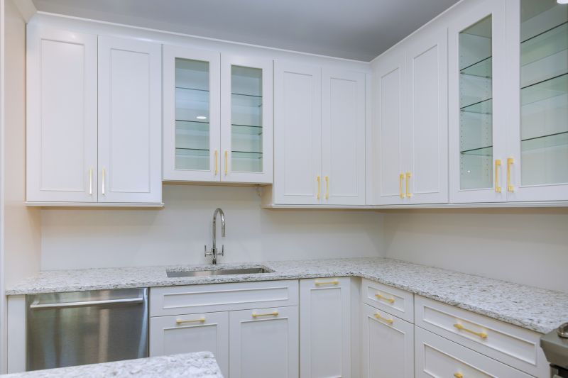 Kitchen Cupboard Replacement in Carmel, IN